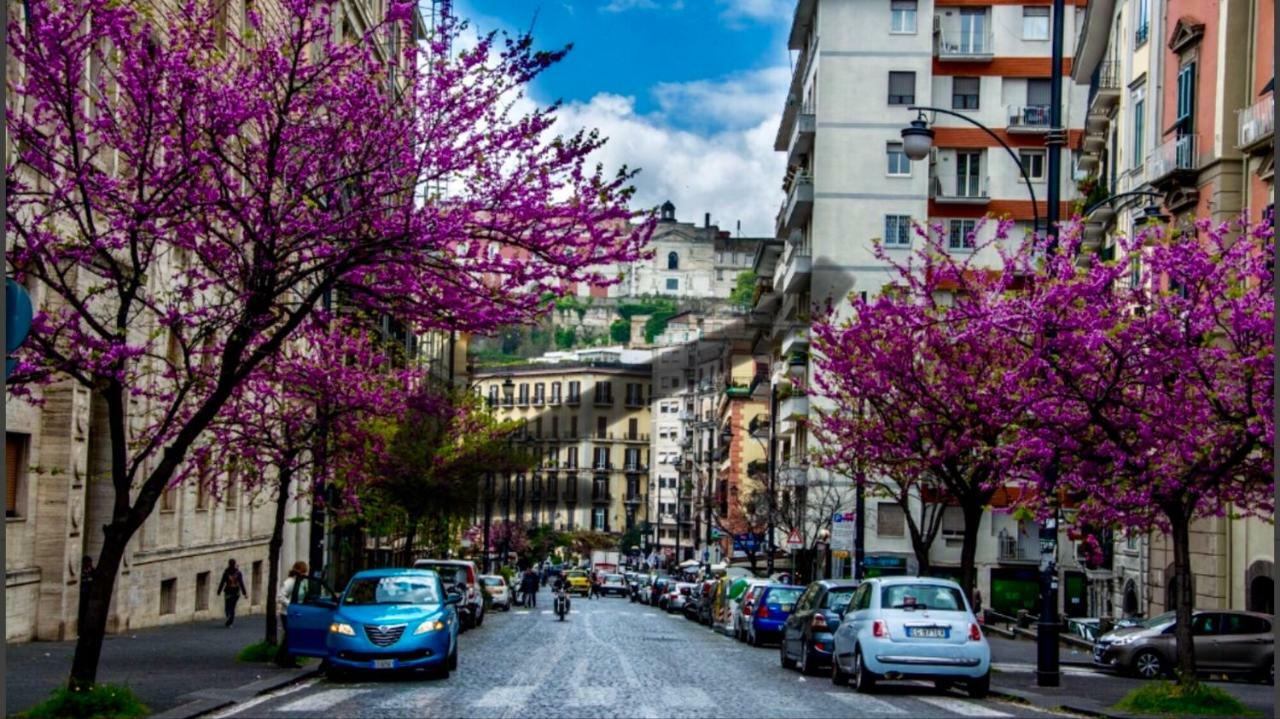 Borgo Santa Lucia * Naples
